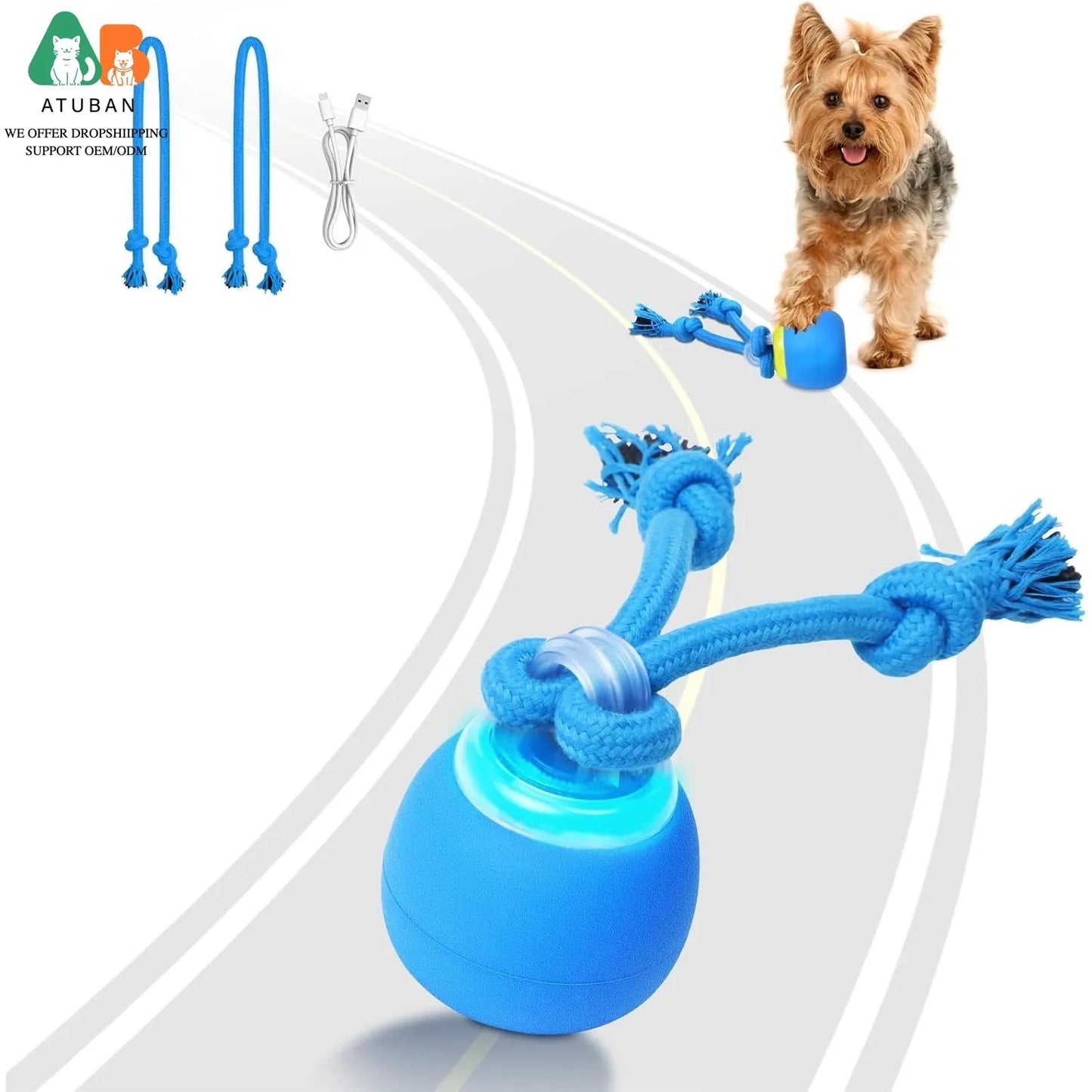 Interactive Moving Dog Ball