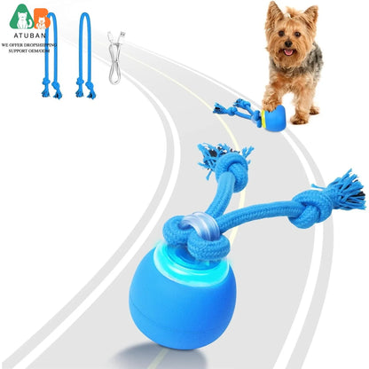Interactive Moving Dog Ball