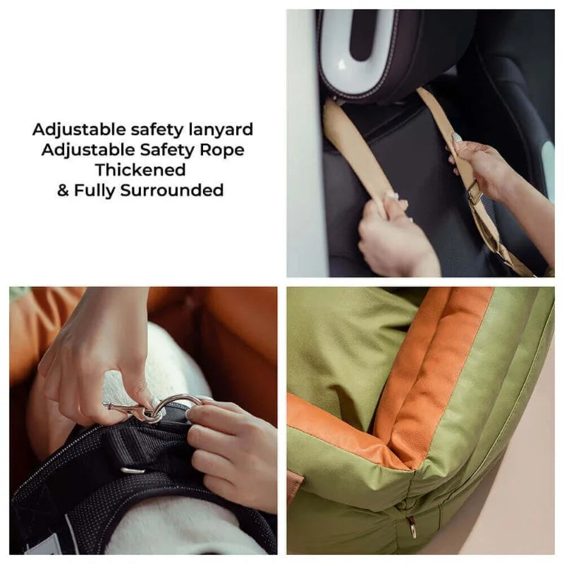 WanderPup Denim Cruise