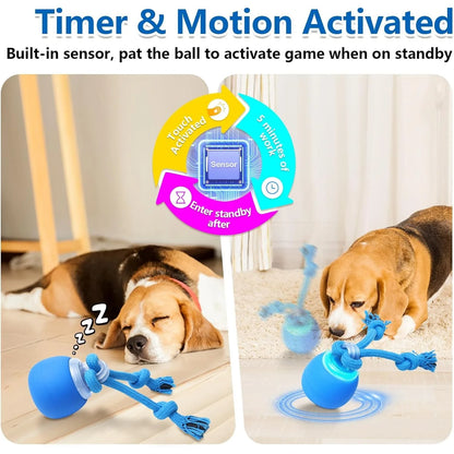 Interactive Moving Dog Ball