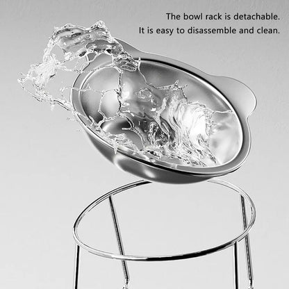 Ergo-Tilt Stainless Steel Pet Bowl