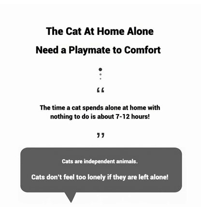 Multi-Pattern Infrared Cat Chaser for Exercise & Training