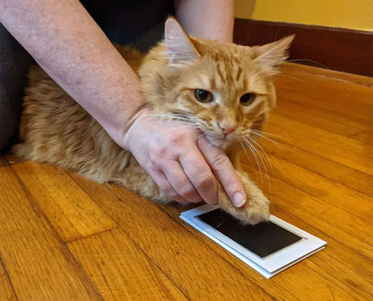 "Inkless Paw & Nose Print Kit