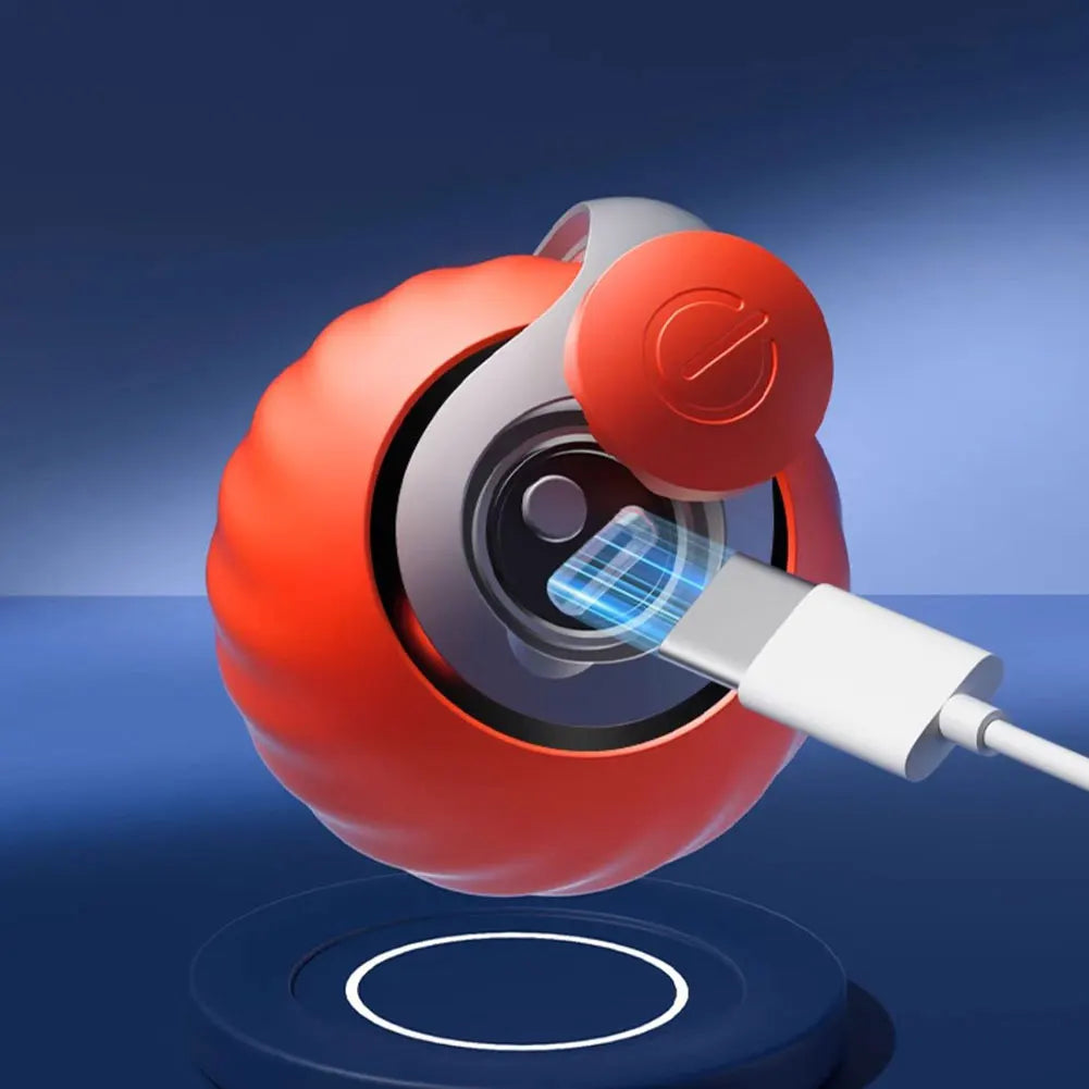 WhiskerWise Cat Ball