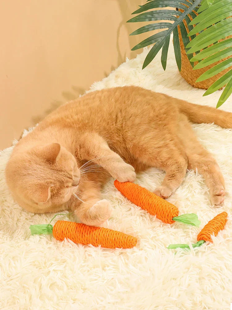 Cat Carrot Teeth Grinding Toy