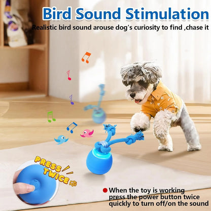 Interactive Moving Dog Ball