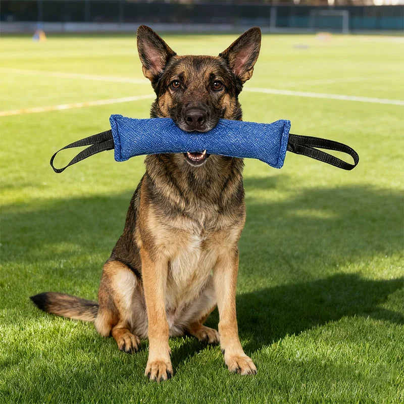 Dog Tug Toy