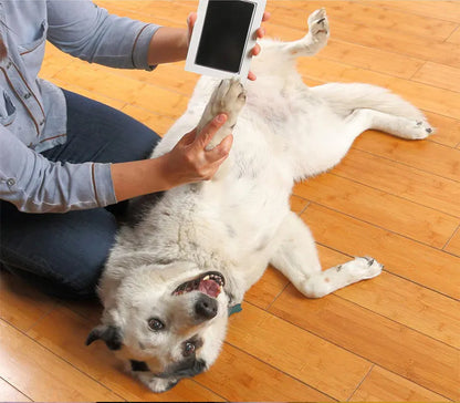 "Inkless Paw & Nose Print Kit