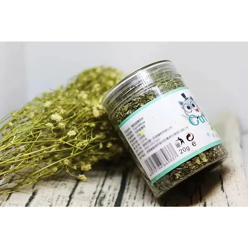 Premium Hot Natural Catnip Cattle Grass Sticks